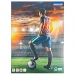 Caiet A4, 60 file, 70 g-mp, dictando, plastifiat, Paperland Premium, diverse modele