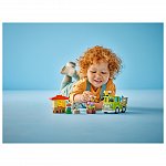LEGO DUPLO - Ingrijirea albinelor si stupilor 10419