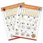 Joc Brain Buster, Buki France - Expert