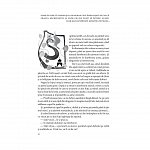 1001 de nopti. Basme arabe istorisite de Eusebiu Camilar, vol. 1