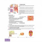 Biologie. Caietul elevului pentru clasa a VII-a