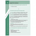 Literatura pentru gimnaziu. Clasa a VII-a. Concepte operationale si exercitii