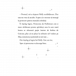 Aventurile unui spiridus al Craciunului. Cronicile spiridusilor, vol. 3