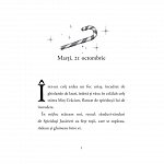 Jurnalul unui spiridus al Craciunului. Cronicile spiridusilor, vol. 1