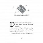 Jurnalul unui spiridus al Craciunului. Cronicile spiridusilor, vol. 1