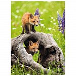 Puzzle Pui de Vulpe, 300 piese, 9 ani, Ravensburger