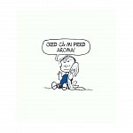 PEANUTS. Ghiduri pentru viata. Viata prin ochii lui Linus
