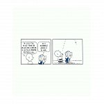PEANUTS. Ghiduri pentru viata. Viata prin ochii lui Linus