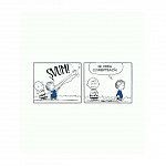 PEANUTS. Ghiduri pentru viata. Viata prin ochii lui Linus