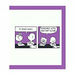 PEANUTS. Ghiduri pentru viata. Ghidul Peanuts pentru frati si surori