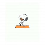 PEANUTS. Ghiduri pentru viata. Ghidul Peanuts pentru fericire