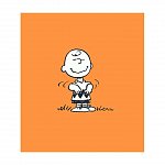 PEANUTS. Ghiduri pentru viata. Ghidul Peanuts pentru fericire