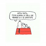 PEANUTS. Ghiduri pentru viata. Filozofia lui Snoopy