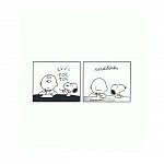 PEANUTS. Ghiduri pentru viata. Filozofia lui Snoopy