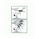 PEANUTS. Ghiduri pentru viata. Filozofia lui Snoopy