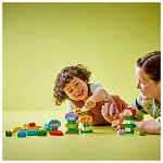 LEGO DUPLO - Gradina si flori creative 10444
