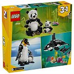LEGO Creator - Animale salbatice Familia de ursi panda 31165