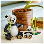 LEGO Creator - Animale salbatice Familia de ursi panda 31165