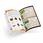 Joc educativ trusa exploratorului Terrarium, 6 ani, Buki France