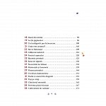 Povesti pentru copii curajosi