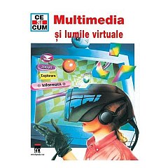 Multimedia si lumile virtuale