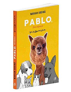 Pablo, the Alpaca. Scrisoarea