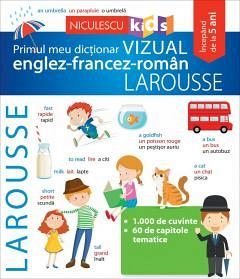 Primul Meu Dictionar Vizual Englez Francez Roman Larousse De Diverta