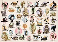 Puzzle Eurographics - Yoga Kittens, 300 piese XXL (6500-0991)
