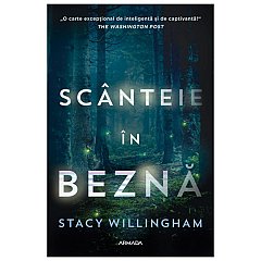 Scanteie in bezna
