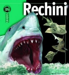 Insiders - rechini