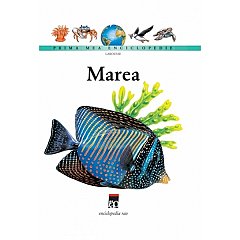 Marea. Prima mea enciclopedie