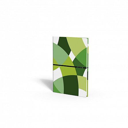 Caiet A4, 80 file, QuattroColori+, verde