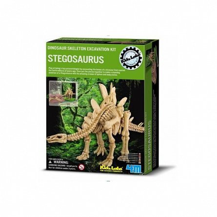 Set sapa si descopera, Stegosaurus