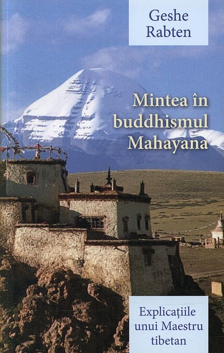MINTEA IN BUDDHISMUL MAHAYANA