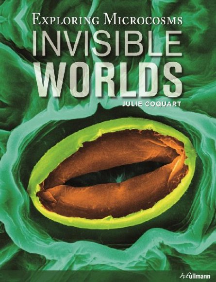 INVISIBLE WORLDS (BOOK + E-BOOK)