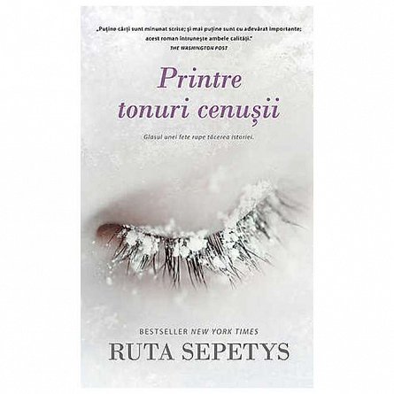 Printre tonuri cenusii