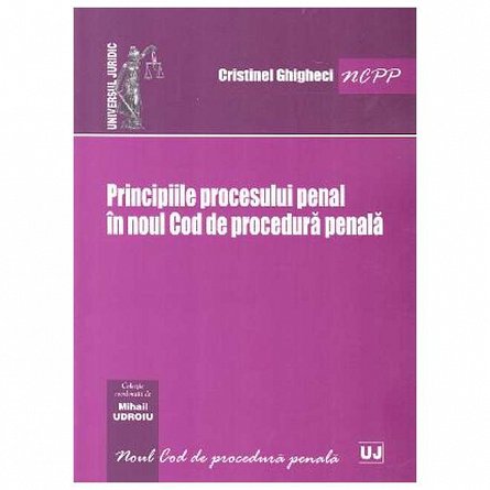 Principiile procesului penal in noul Cod de procedura penala