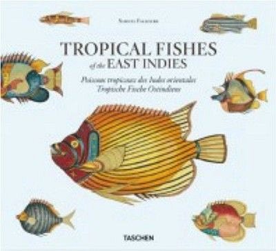 TROPICAL FISHES OF THE EAST INDIES