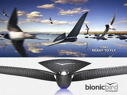 Pasare Bionica X-Tim Pro, control cu smartphone