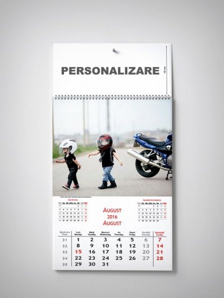Calendar perete 32x48cm,Copii,12f,2016