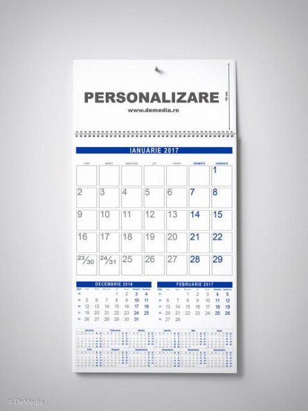 Calendar perete 33x48cm,12f,cameleon,albastru,2017