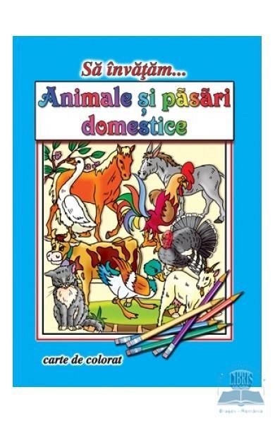 Sa invatam… animale domestice carte de colorat