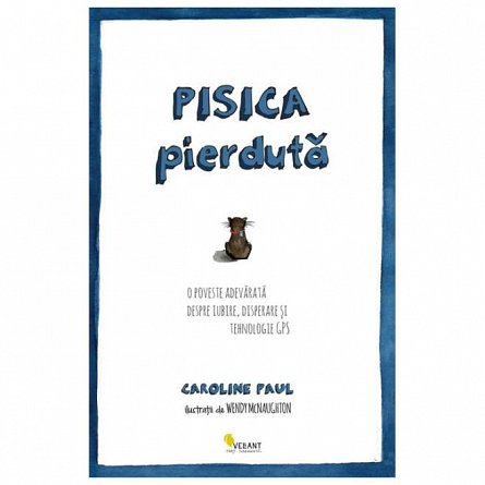 Pisica Pierduta