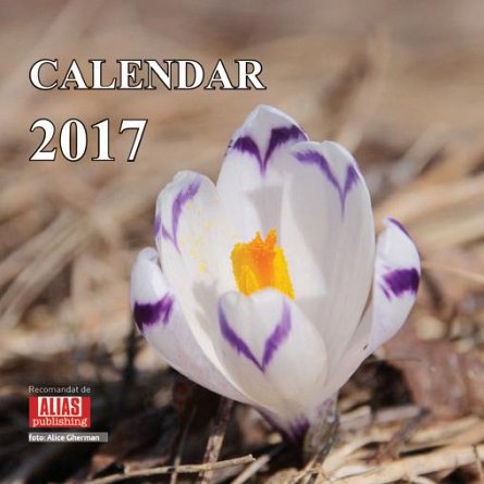 Calendar perete 16x16cm,Flori,12f,2017
