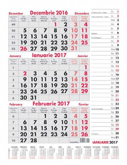 Calendar perete 30x39,12f,planer,2017