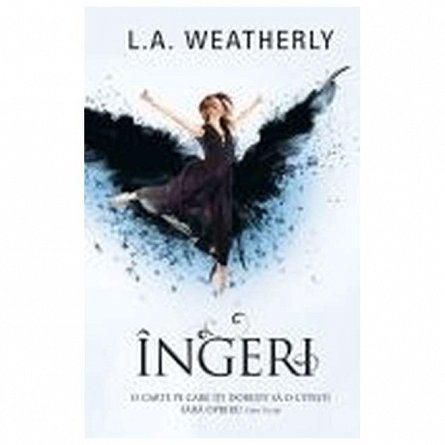 Ingeri
