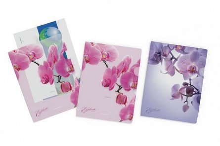 File protectie, A4, deschidere L, set 4 bucati, ErichKrause Romantique