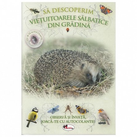 Sa descoperim vietuitoarele salbatice din gradina