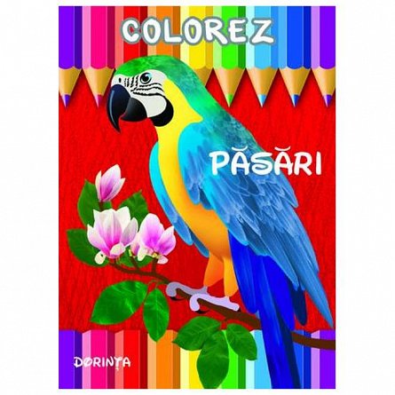Colorez: Pasari