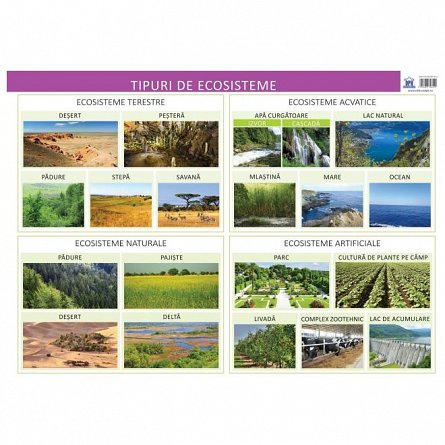 Plansa tipuri de ecosisteme
